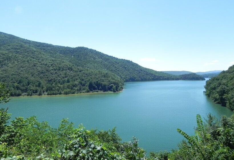 旅馆 Vine Cottage Inn