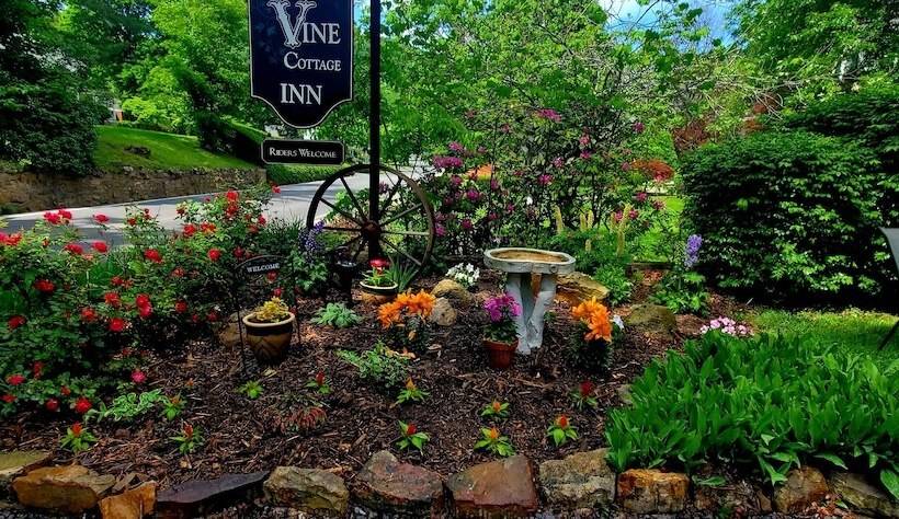 旅馆 Vine Cottage Inn