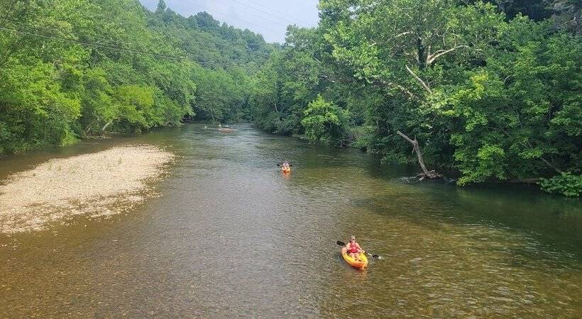 旅馆 Vine Cottage Inn