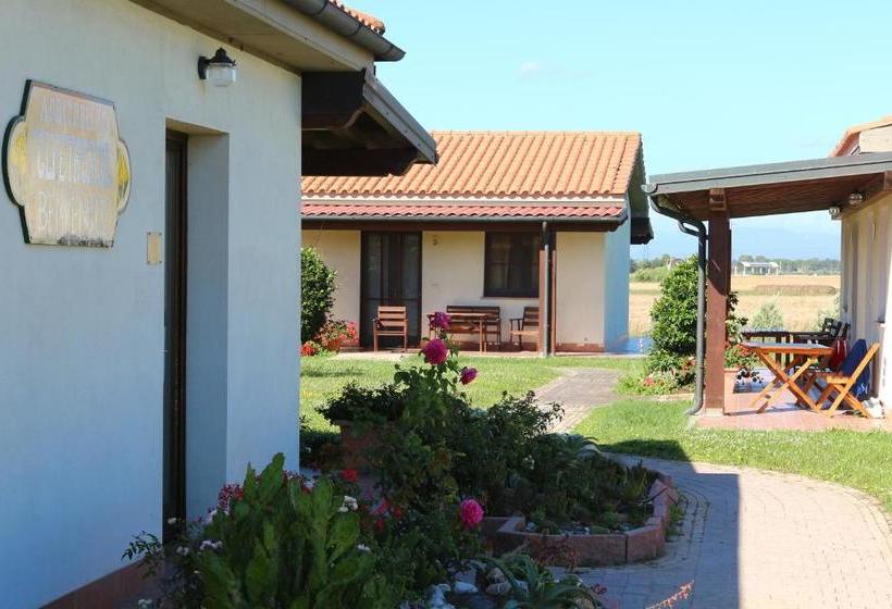 Отель Agriturismo Gli Etruschi