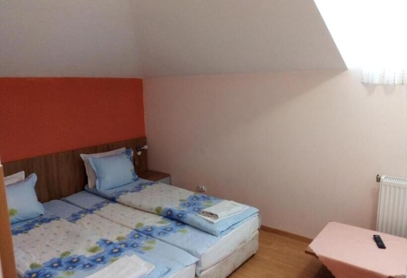 پانسیون Aleks Guest House