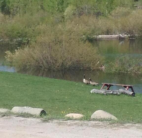 فندق صغير Duck Lake Lodge