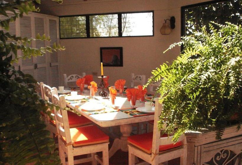 هاستل Miravalle Suites