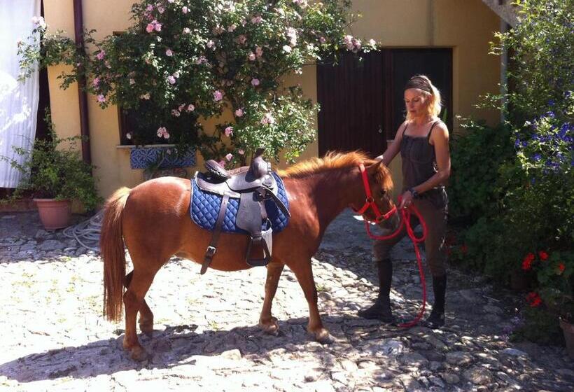 בית מלון כפרי Ridocco Agriturismo