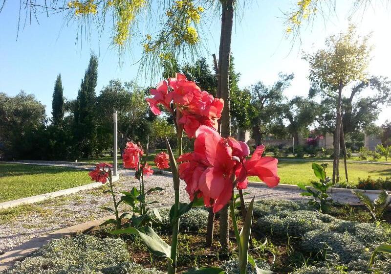 فندق Willaria Country House