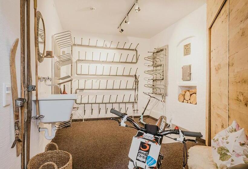 پانسیون Hoferhof Ski In & Ski Out Hotel Schladming  Dachstein