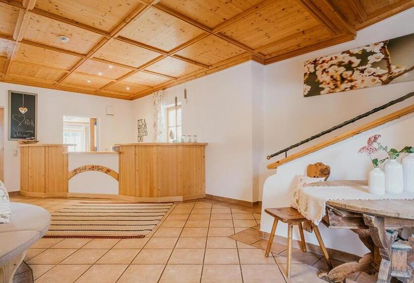 پانسیون Hoferhof Ski In & Ski Out Hotel Schladming  Dachstein