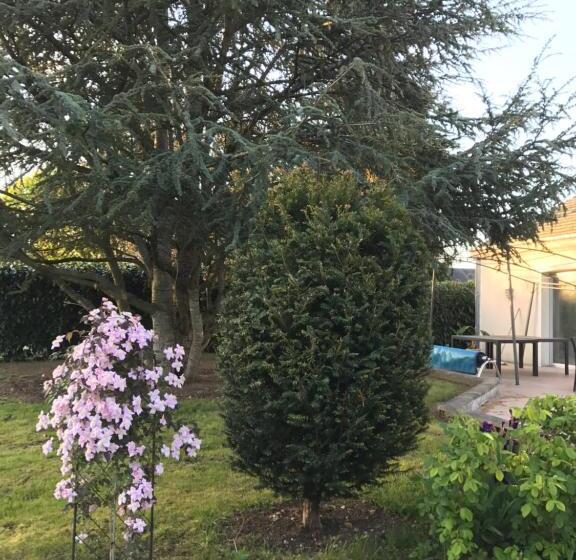 بنسيون La Soierie