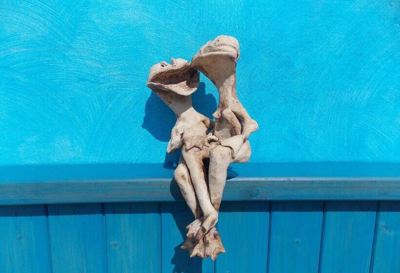 پانسیون Penzion Aida Ostrava