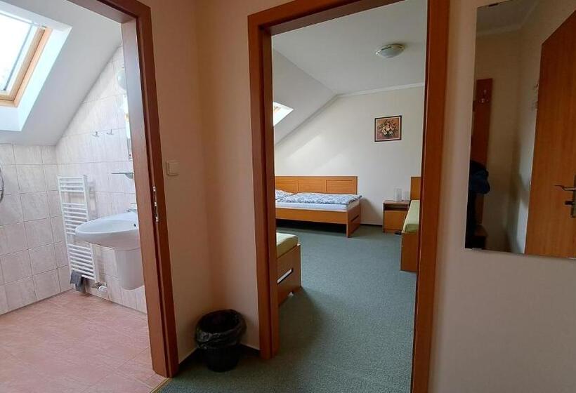 پانسیون Penzion Aida Ostrava