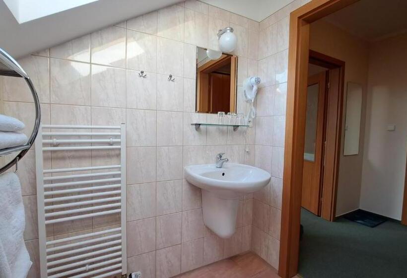 پانسیون Penzion Aida Ostrava