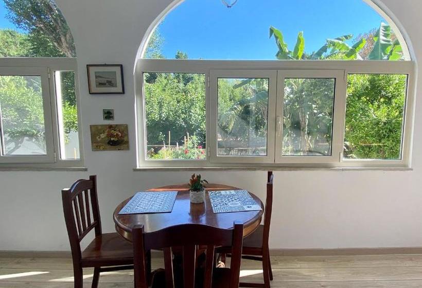 ペンション Villa Striano Capri Luxury Rooms