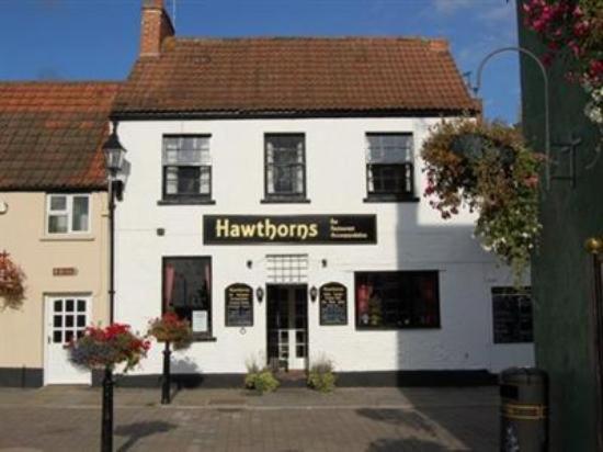Общежитие Hawthorns