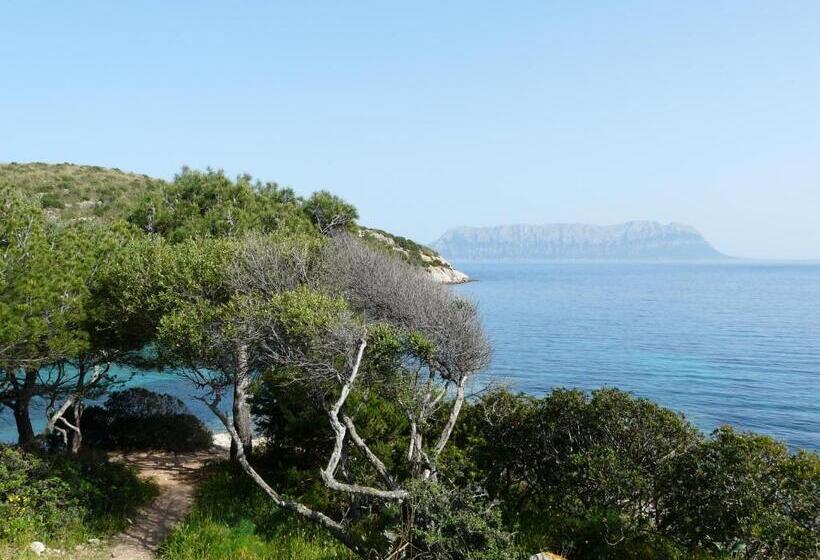 بنسيون Affittacamere Il Laghetto