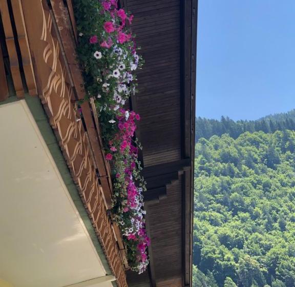 Пансион Haus Kärnten