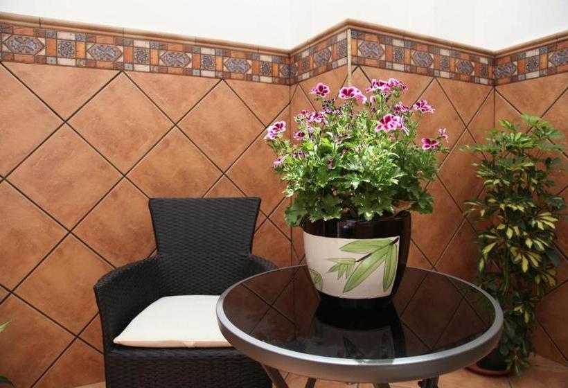 بنسيون Hostal Avenida