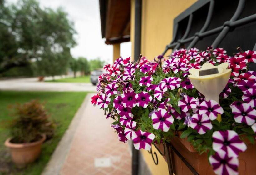 פנסיון L Antico Vigneto