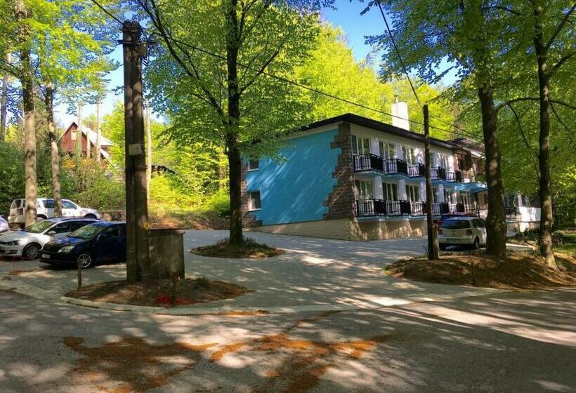 膳宿费 Penzión Modrý Dom