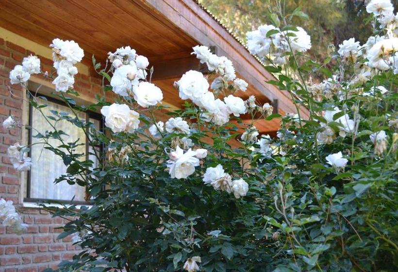 هاستل Hosteria La Chacra