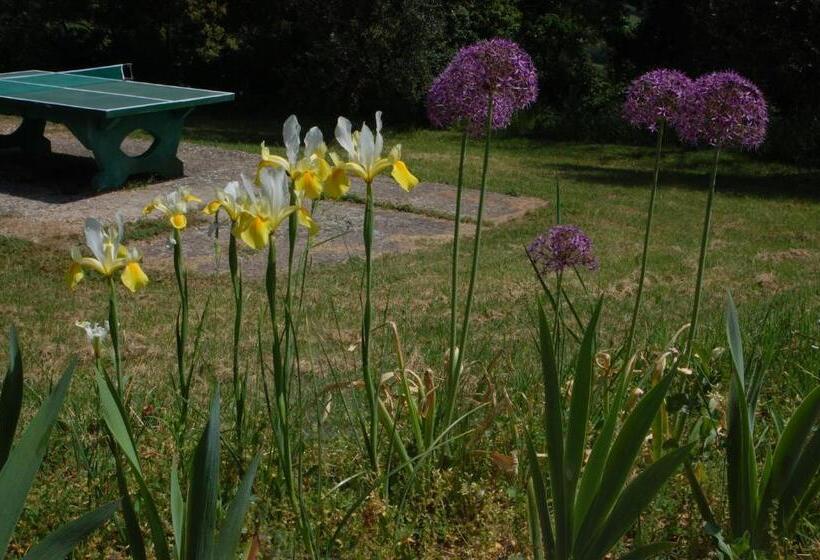 בית מלון כפרי Due Piani