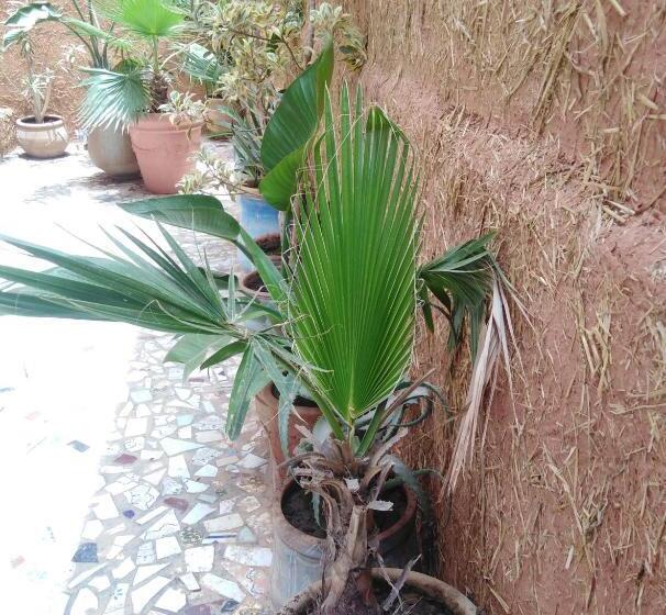 پانسیون Mirleft Tayought Guest House