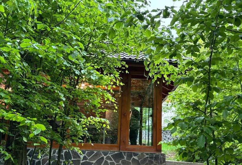펜션 Pintea Chalet
