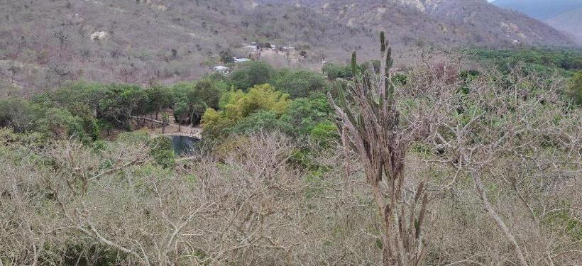 پانسیون Hostal Alcazaba