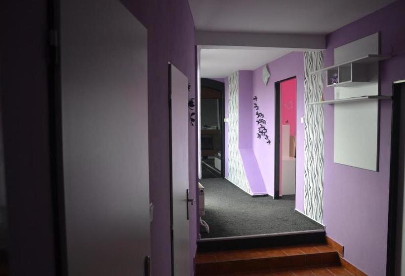 پانسیون Penzion U Kohoutka