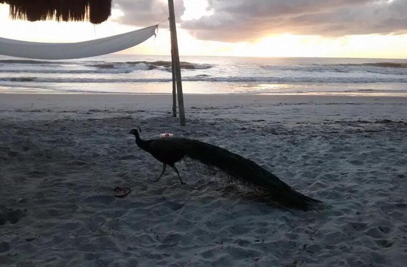膳宿费 Pousada Ilha Do Desejo