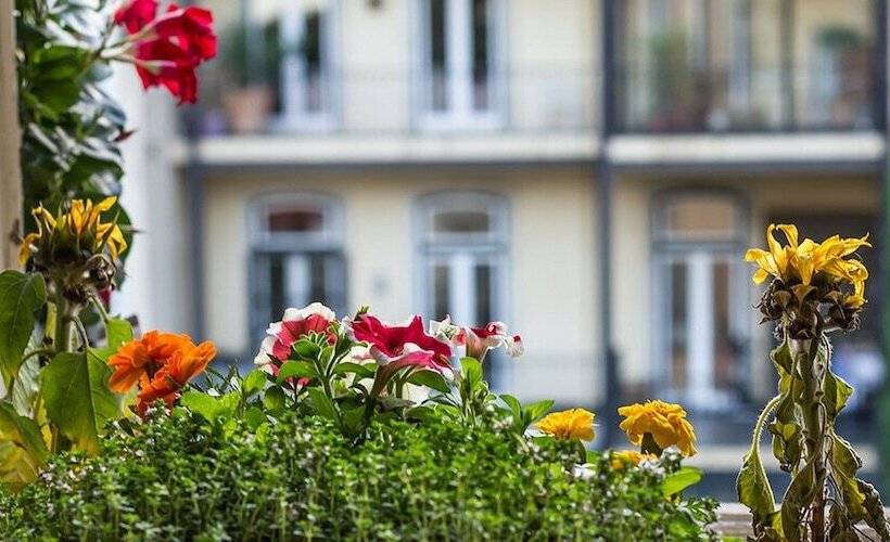 پانسیون Casinha Das Flores