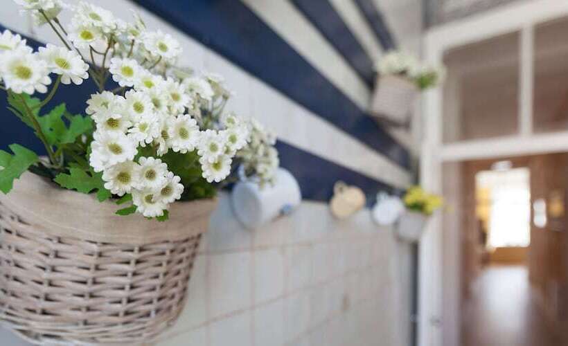 پانسیون Casinha Das Flores