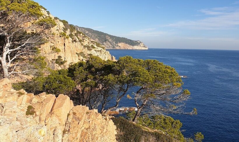 پانسیون La Masia De Tamariu