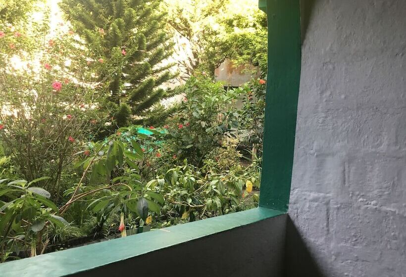 پانسیون La Petite Auberge   Hostel