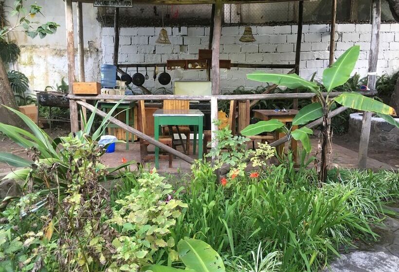 پانسیون La Petite Auberge   Hostel