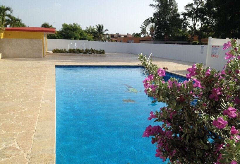 هاستل Arecibo Inn