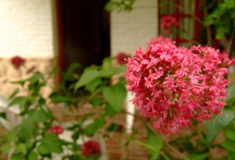 هاستل Hosteria Rural Piedra Y Camino
