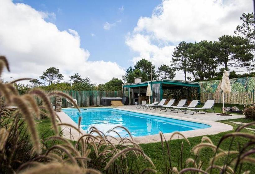 Entre Pinos Eco Box Apart