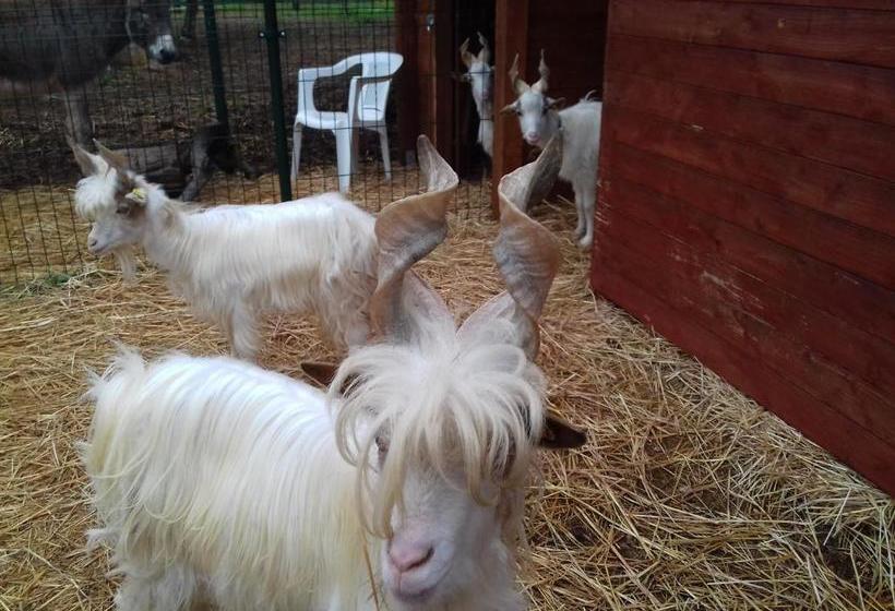 בית מלון כפרי Agriturismo Specchiarussa