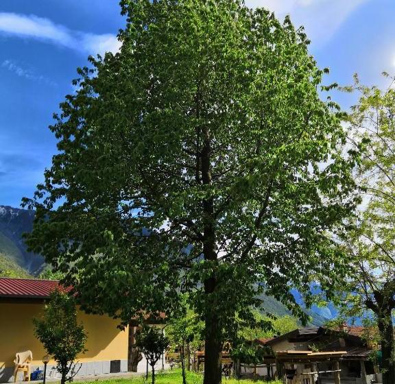 酒店 Agriturismo Val Codera
