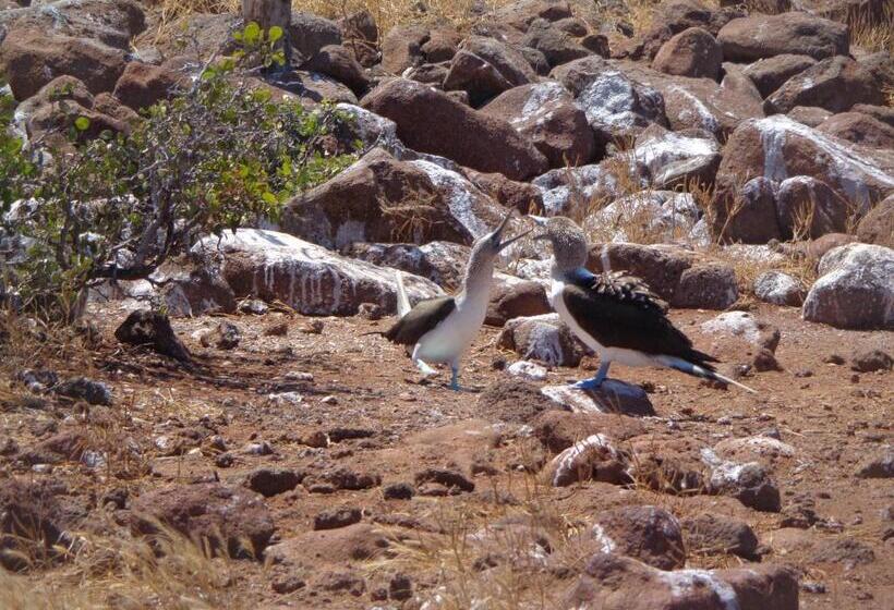 پانسیون Hostal Casa Cascada