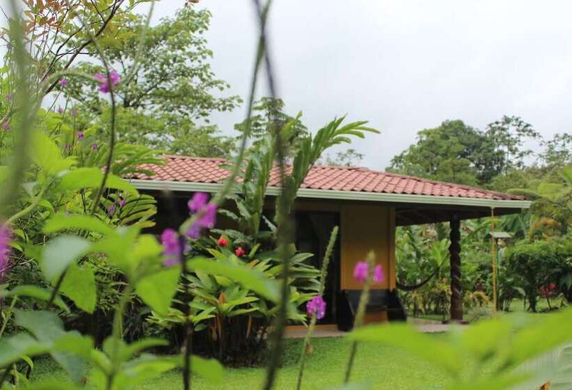 هتل Catarata Río Celeste