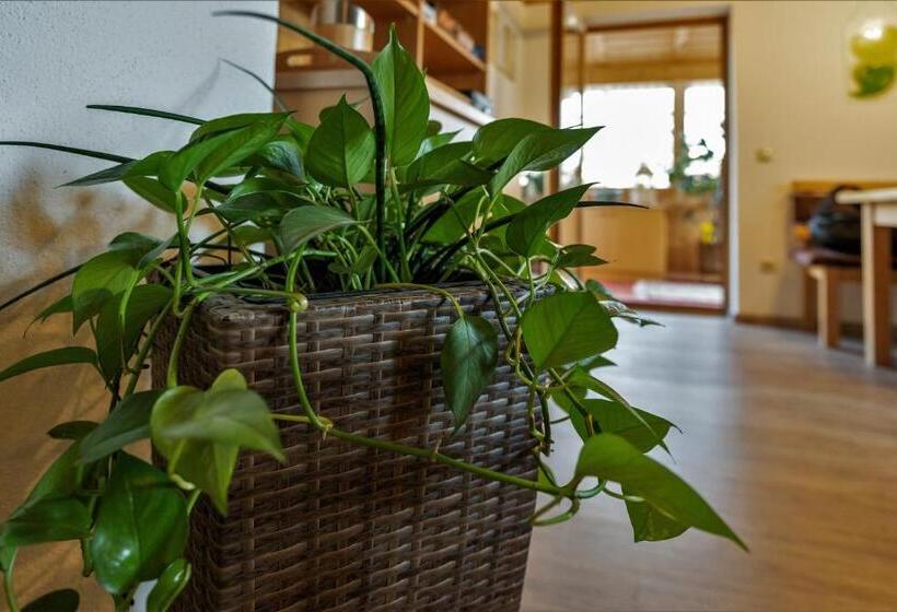 Общежитие Gasthof Arracher Hof