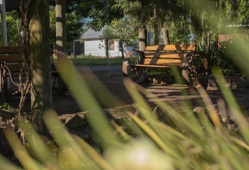 هاستل Hostal Canela