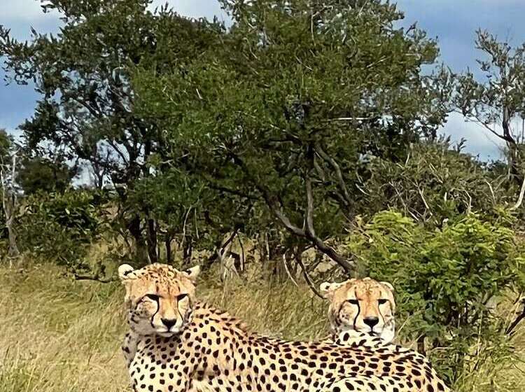 膳宿费 Yebo Boutique Guesthouse