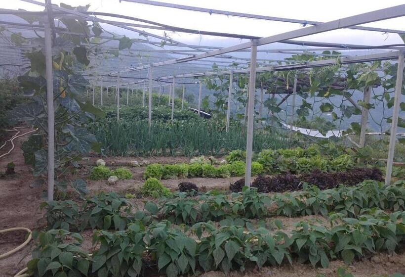 فندق Agriturismo Al Pagan