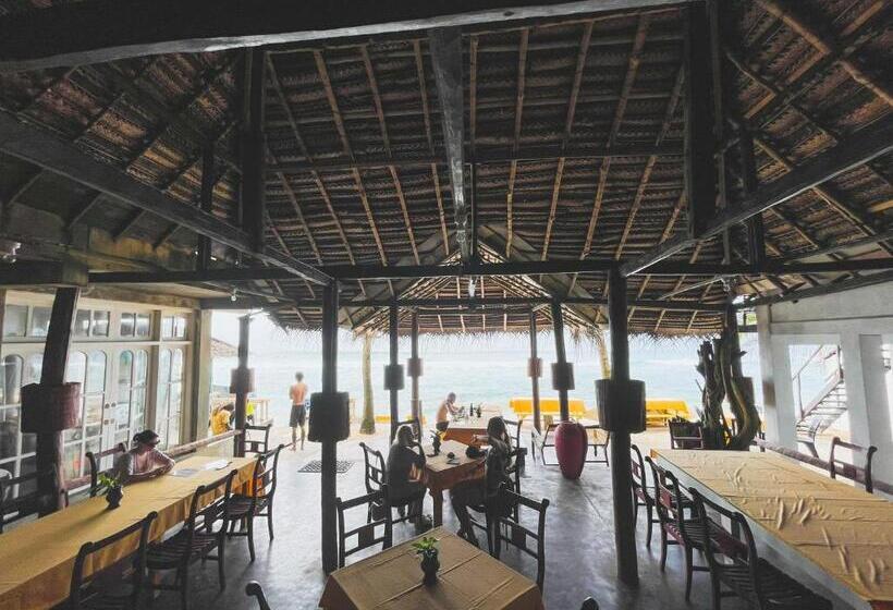 بنسيون Why Not Guest House