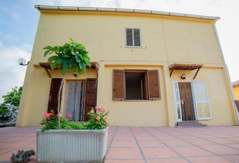 ホテル Agriturismo Greppo All Olivo
