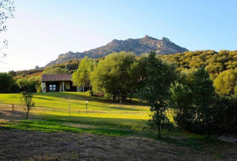 ホテル Agriturismo Sa Mendhula