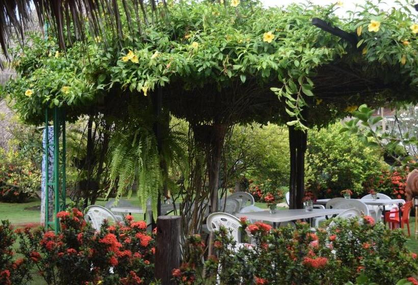 پانسیون Palomino Breeze Hostal