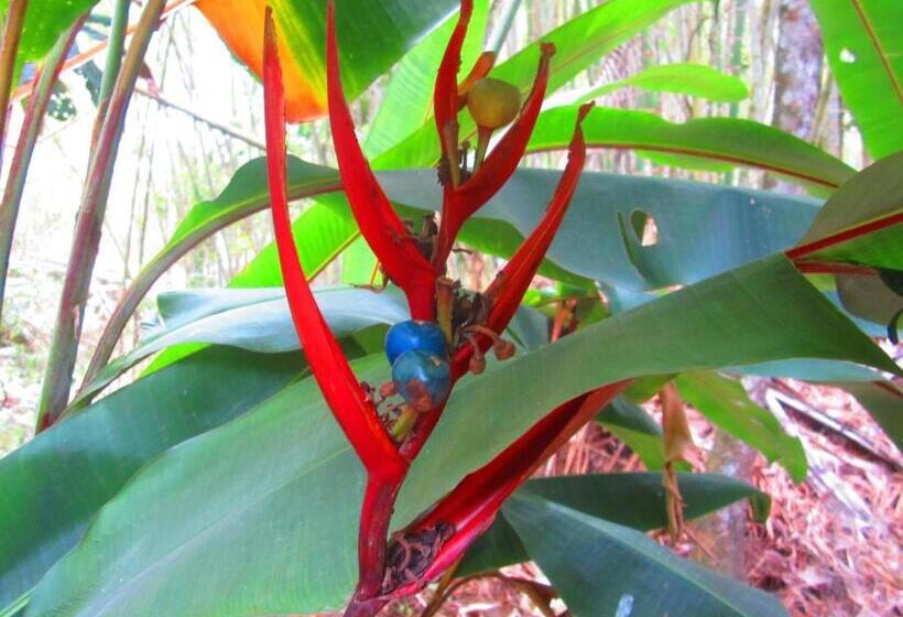 هاستل La Posada Del Cucú